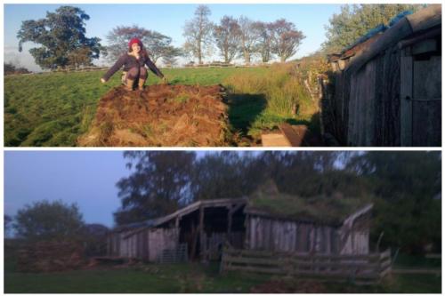 Green Roof