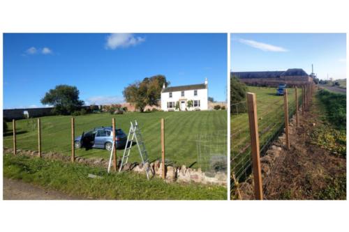 Steel Stock Fencing